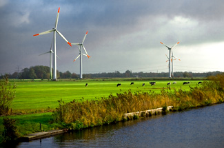 Windr�der auf der Wiese
